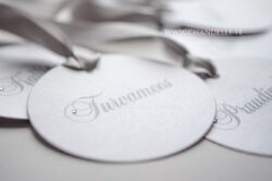 16587236_1877395449163160_1727346031924084375_o