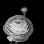 Screenshot_10
